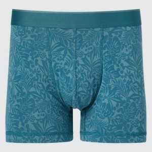 Men Uniqlo Cotton Low Rise Printed Boxer Underwear Turquoise | 6342990