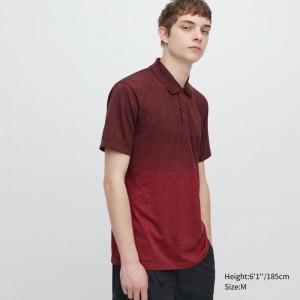 Men Uniqlo Dry-ex Gradient Polo Shirts Red | 3269229