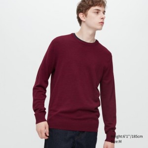 Men Uniqlo Extra Fine Merino Crew Neck Sweaters Burgundy | 6493248