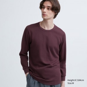 Men Uniqlo Heattech Cotton Waffle Crew Neck Extra Warm T Shirts Burgundy | 5585522