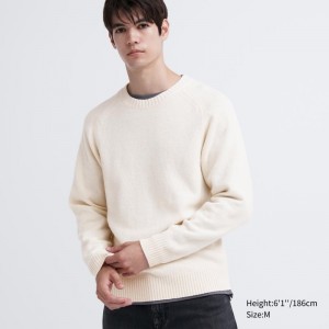 Men Uniqlo Premium Lambswool Crew Neck Long Sleeve Sweaters White | 9114178