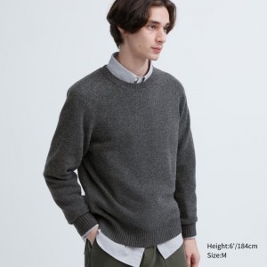 Men Uniqlo Premium Lambswool Crew Neck Long Sleeve Sweaters Grey | 8742869