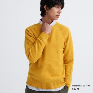 Men Uniqlo Premium Lambswool Crew Neck Long Sleeve Sweaters Yellow | 7145859