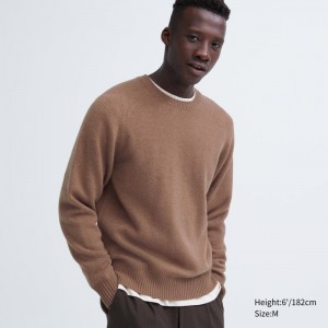 Men Uniqlo Premium Lambswool Crew Neck Long Sleeve Sweaters Brown | 2504535