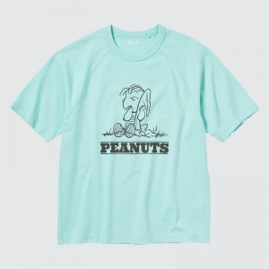 Men Uniqlo Retro Peanuts Ut Oversized Short-sleeve Graphic T Shirts Blue | 354963