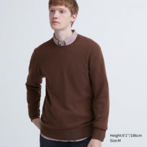 Women Uniqlo Cashmere Crew Neck Long-sleeve Sweaters Brown | 4763991