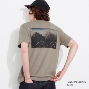 Women Uniqlo Hokusai UT Short Sleeve T Shirts Beige | 4464343
