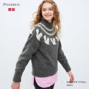 Women Uniqlo Jacquard Crew Neck Long-Sleeve Sweaters Grey | 2418843