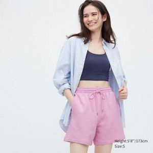 Women Uniqlo Sweat Shorts Pink | 9632669