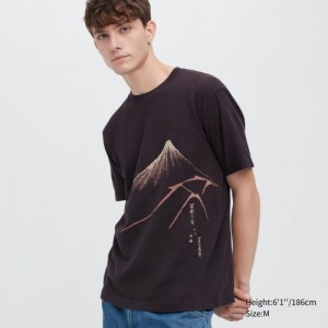 Women Uniqlo Ukiyo-e UT Short-Sleeve T Shirts Brown | 3551427