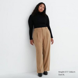 Women Uniqlo Wide-Fit Pleated Pants Beige | 6038919