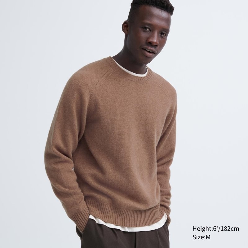Men Uniqlo Premium Lambswool Crew Neck Long Sleeve Sweaters Brown | 2504535