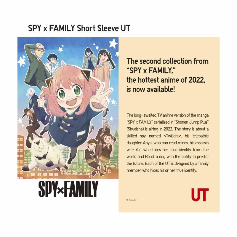 Men Uniqlo Spy X Family Ut Short-sleeve Graphic T Shirts Grey | 2658972