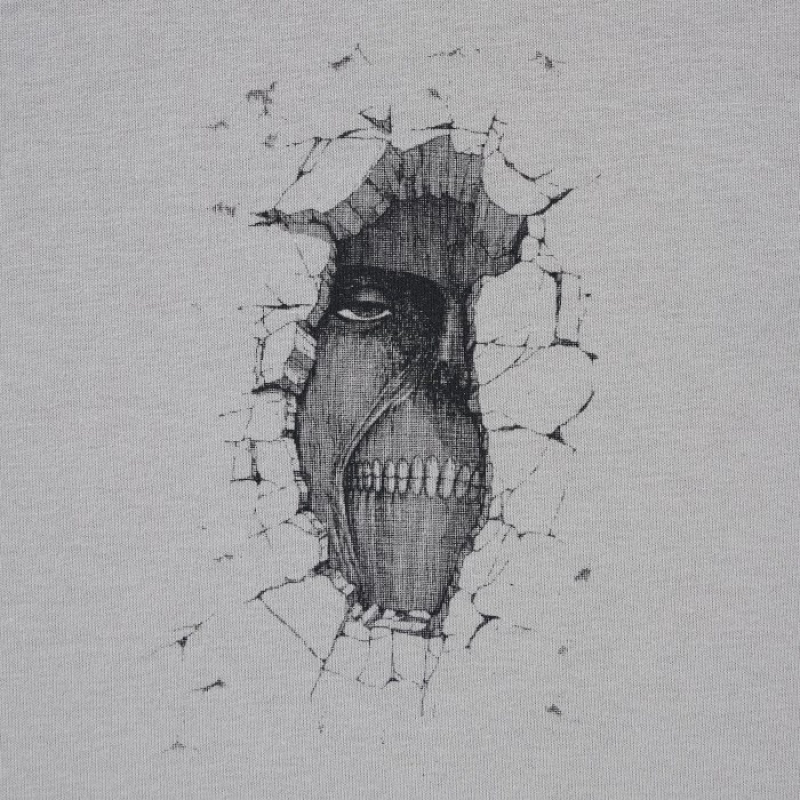 Women Uniqlo Attack on Titan UT Short-Sleeve A Titan Inside The Wall T Shirts Grey | 500338