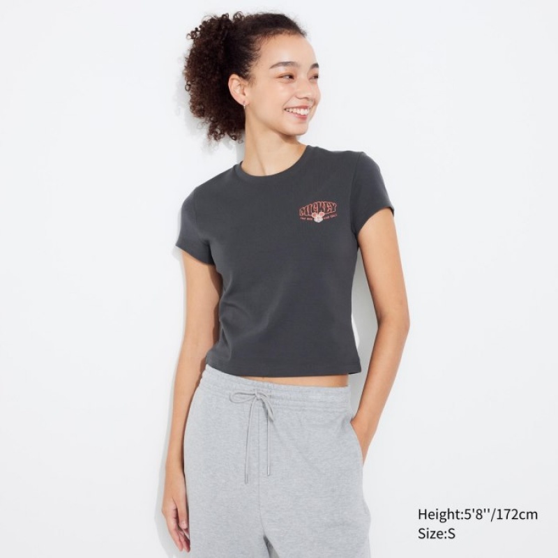 Women Uniqlo Collection UT Short-Sleeve T Shirts Grey | 7758051