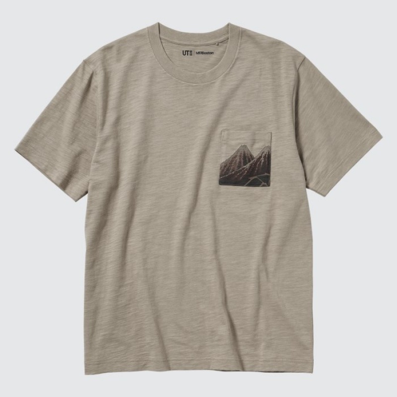 Women Uniqlo Hokusai UT Short Sleeve T Shirts Beige | 4464343