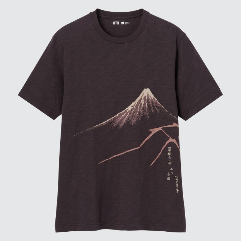 Women Uniqlo Ukiyo-e UT Short-Sleeve T Shirts Brown | 3551427