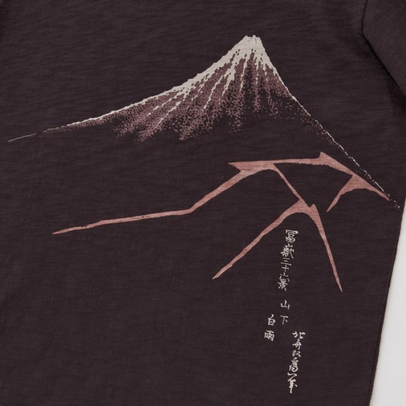 Women Uniqlo Ukiyo-e UT Short-Sleeve T Shirts Brown | 3551427